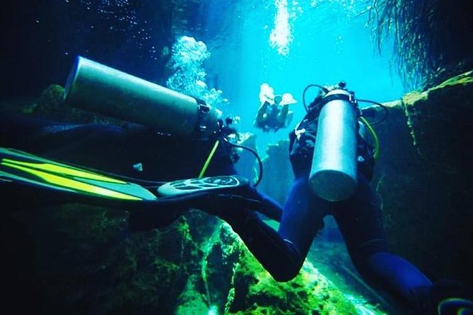 Discover Scuba Diving at Casa Cenote - Finding the Start: Tulum Centro by Calle Polar Pte. 36