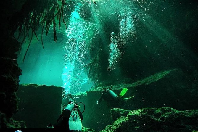 Discover Scuba Diving at Casa Cenote - Casa Cenote Setting: Mangroves, Open Water, and Clear Views