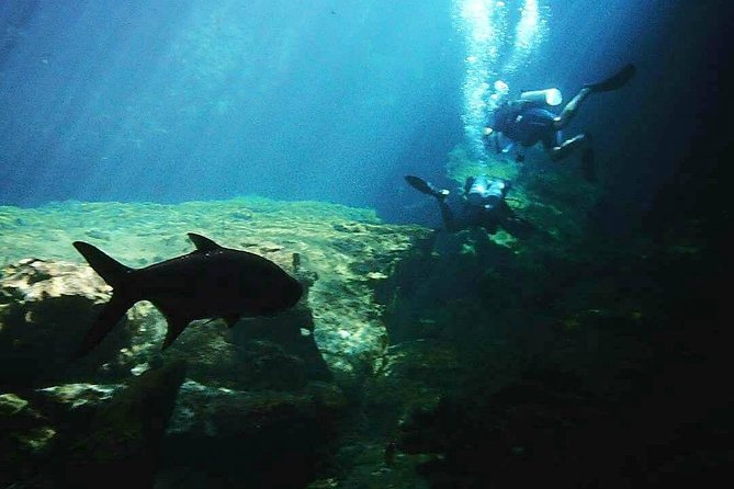 Discover Scuba Diving at Casa Cenote - Equipment and Instruction: Why Mario’s Approach Works