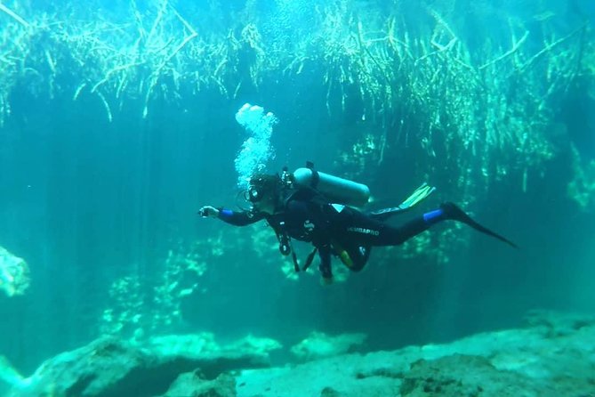Discover Scuba Diving at Casa Cenote - Price and Value: Is $190 Worth It?