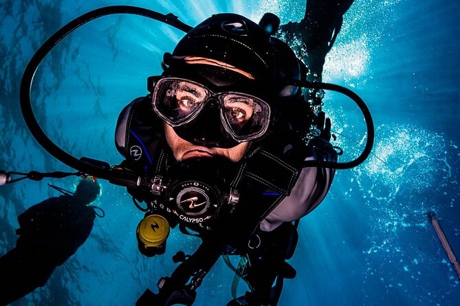 Discover Scuba Diving & Beach Club with Transportation In Riviera Maya - Transportation and timing from Playa del Carmen: shared pickup, 12:00 pm start