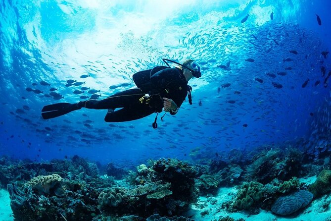 Discover Scuba Diving & Beach Club with Transportation In Riviera Maya - Who this fits best—and who should choose something else