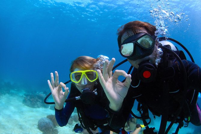 Discover Scuba Diving & Beach Club with Transportation In Riviera Maya - Your instructors and nerves: how patience changes the experience