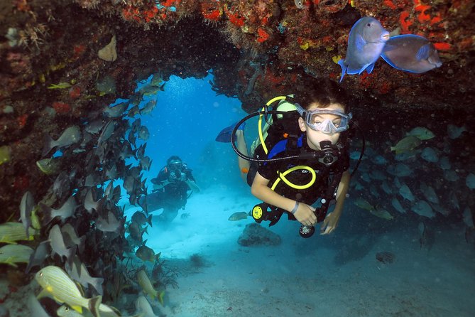 Discover Scuba Diving Course in Playa del Carmen with Two Coral Reef Dives - Gear, timing, and how the day stays manageable