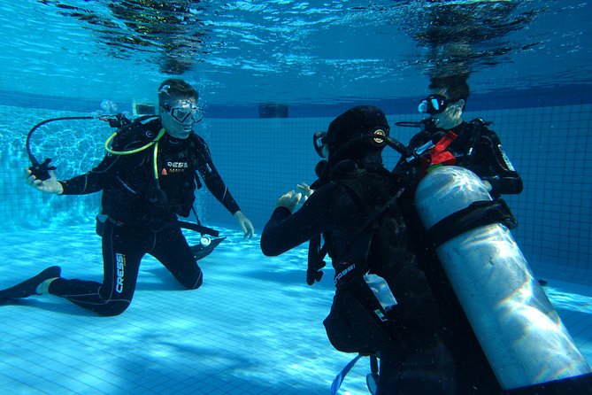 Discover Scuba Diving Course in Playa del Carmen with Two Coral Reef Dives - The morning: classroom basics and pool practice (8:00 to 11:00)