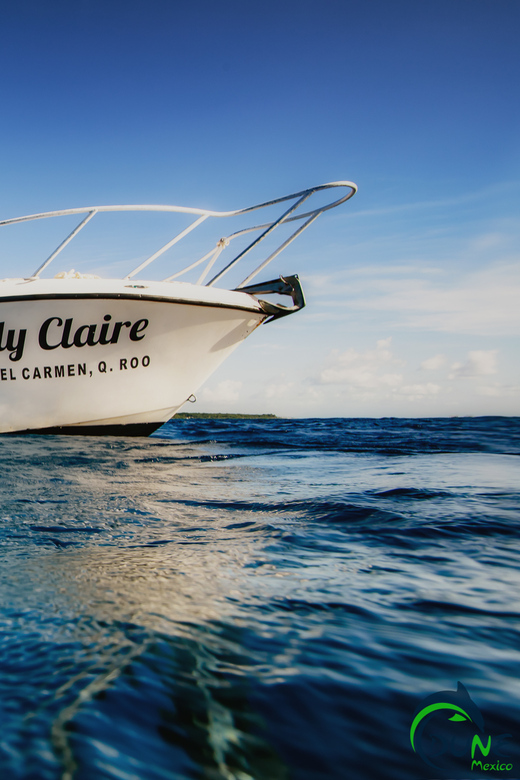 Discover Scuba Diving in Playa del Carmen - 2 dives - Reef time at up to 40 feet: your first real look at life under the surface