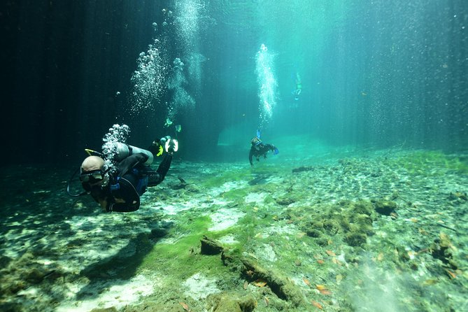 Discover Scuba Diving in Tulum - First-Time Scuba in Tulum Cenote: Simple, Safe, and Scenic