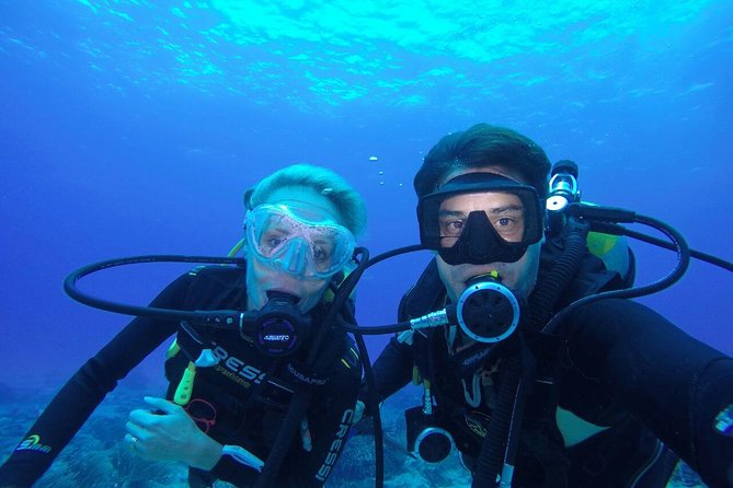 Discover Scuba Diving in Tulum - Agua Clara and Casa Cenote: How the Two Stops Work