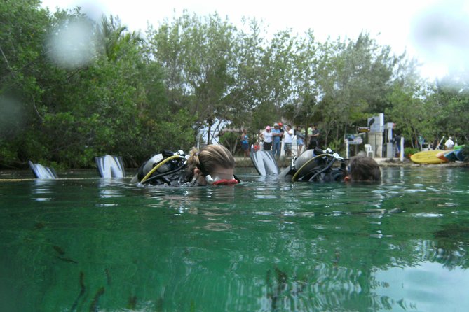 Discover Scuba Diving in Tulum - What You Might See Underwater in the Cenote