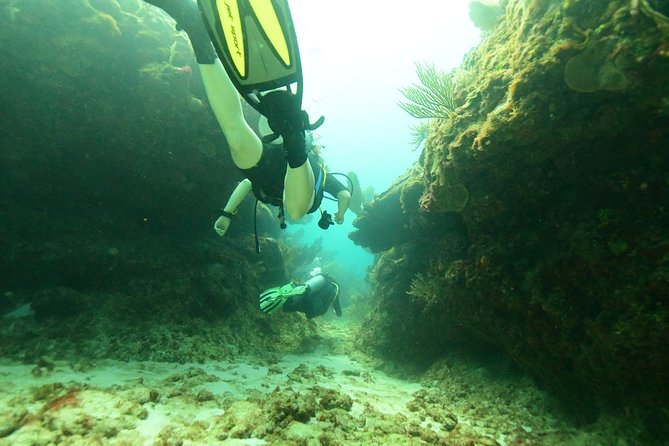 Discover Scuba Diving in Tulum - Equipment, Comfort, and What’s Included (and What Isn’t)