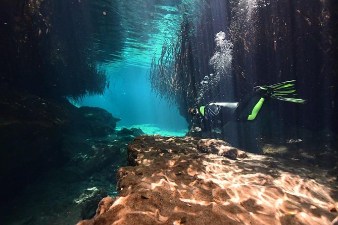 Discover Scuba Diving in Tulum - Weather and Real-World Conditions: When Plans Shift
