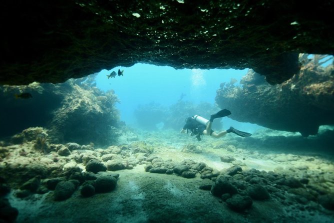 Discover Scuba Diving in Tulum - Your Morning Schedule: 30-Minute Lesson, Gear Up, Practice First