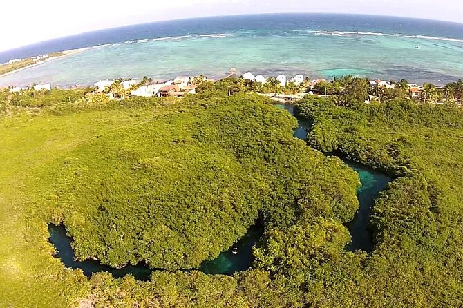 Discovering Breathtaking Cenotes in Tulum - Tulum cenotes in plain terms: what you’re really swimming in