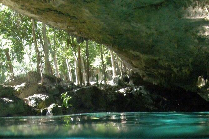 Discovering Breathtaking Cenotes in Tulum - Small group size (max 8): why it improves your snorkeling day