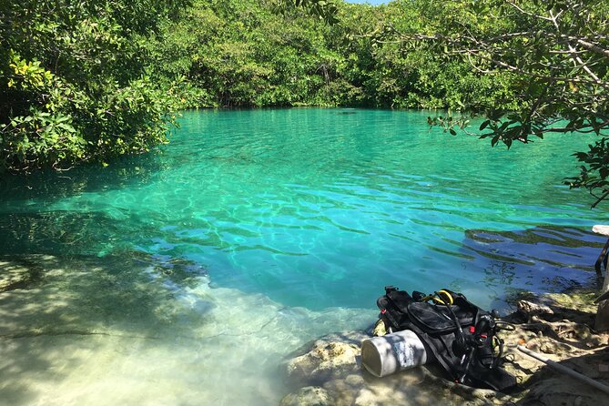 Discovering Breathtaking Cenotes in Tulum - Timing your half-day: why the afternoon can feel calmer