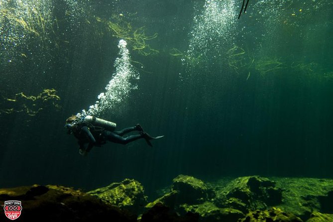 Discovery Scuba Diving - A 5-hour introduction to scuba in Tulum’s cenotes