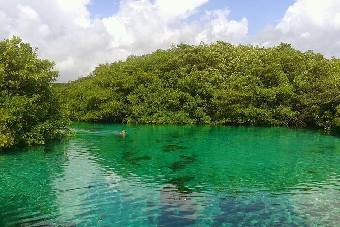 Discovery Scuba Diving - Your first open-water descent around Casa Cenote