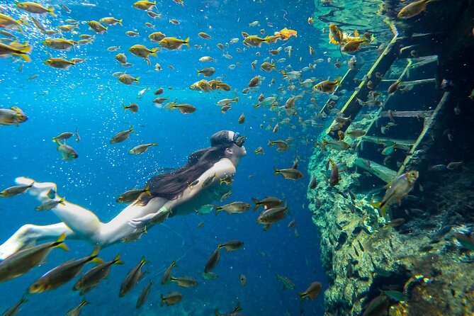 Dive into Tulum: Tour 3 Cenotes, from Riviera Maya - Food, water, and the simple comfort pieces