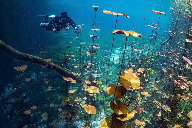 Dive into Tulum: Tour 3 Cenotes, from Riviera Maya - Who this tour is for (and who should rethink it)