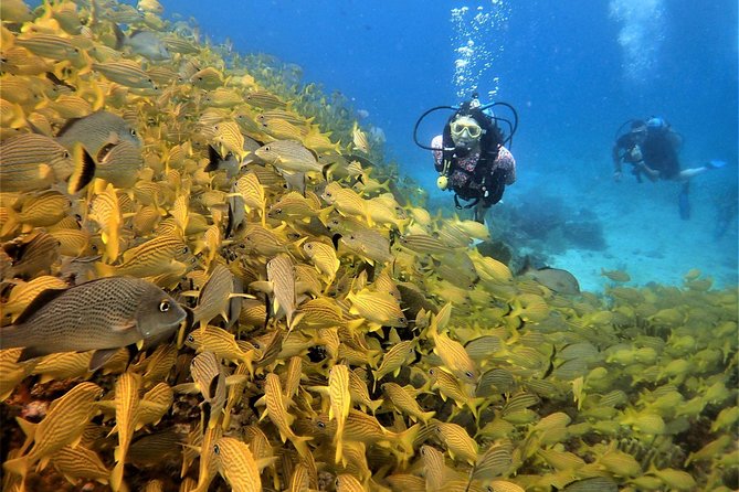 Diving in Cancun Underwater Museum of Art - The real star: the guides and the way instruction is handled