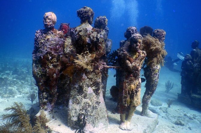 Diving in Cancun Underwater Museum of Art - Should you book the MUSA + reef package?