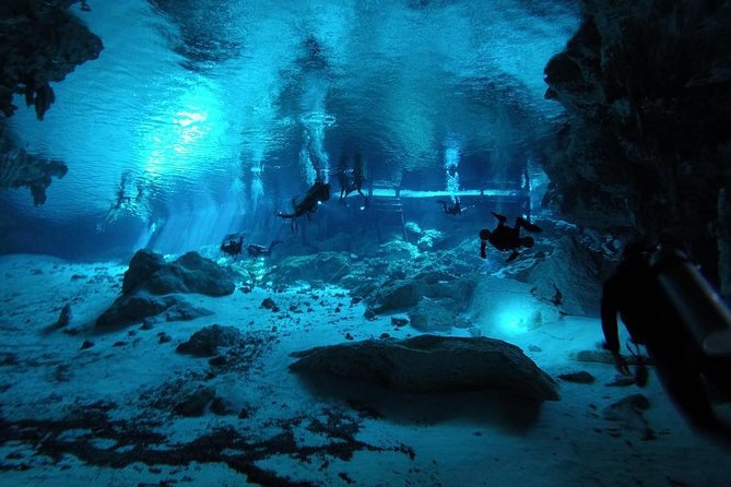 Dos Ojos Cenote Cavern Dive- The Barbie Line and The Bat Cave - Stop 1 on the main plan: Barbie Line underwater session