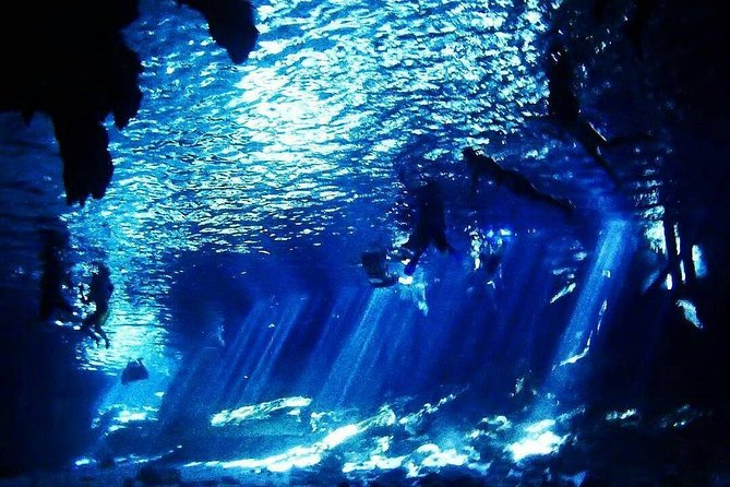 Dos Ojos Cenote Cavern Dive- The Barbie Line and The Bat Cave - Stop 2: Bat Cave session, with that extra cavern mood