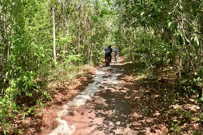 E-bike cenote jungle city tour in Playa del Carmen - Who Should Book This Tour (and Who Should Skip It)