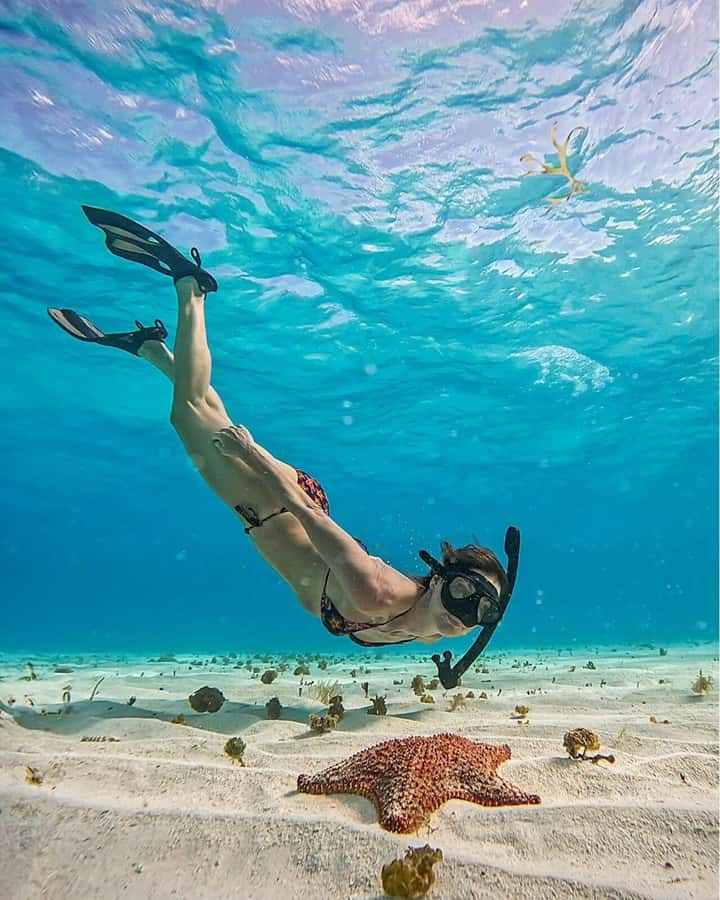 El Cielo and El Cielito in Cozumel with Beach Club, Food, and Open Bar - Key highlights you’ll care about