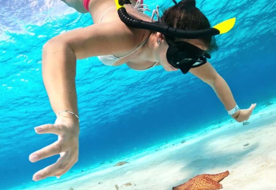 El Cielo and El Cielito in Cozumel with Beach Club, Food, and Open Bar - Palancar Reef snorkeling in a tight 40-minute slot