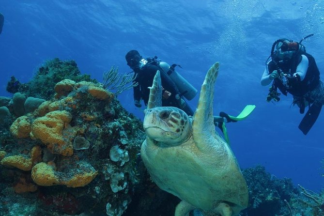 El Cielo Cozumel - Getting there: meeting point, pickup, and why 10 minutes matters