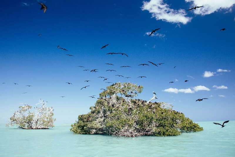 Exclusive Full Day Nature Expedition in Sian Ka'an - Entering Sian Ka’an by Boat: Why This Day Works