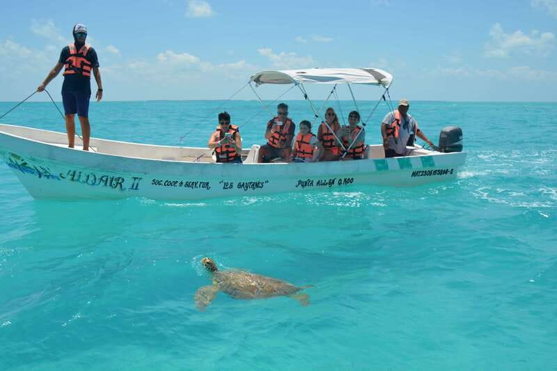 Exclusive Full Day Nature Expedition in Sian Ka'an - Sian Ka’an Boat Cruise: Mangroves, Birds, and Real Wildlife Odds