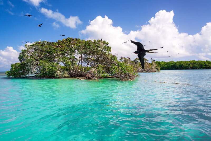 Exclusive Full Day Nature Expedition in Sian Ka'an - Lunch and the Pace: How the 8 Hours Feel in Real Life