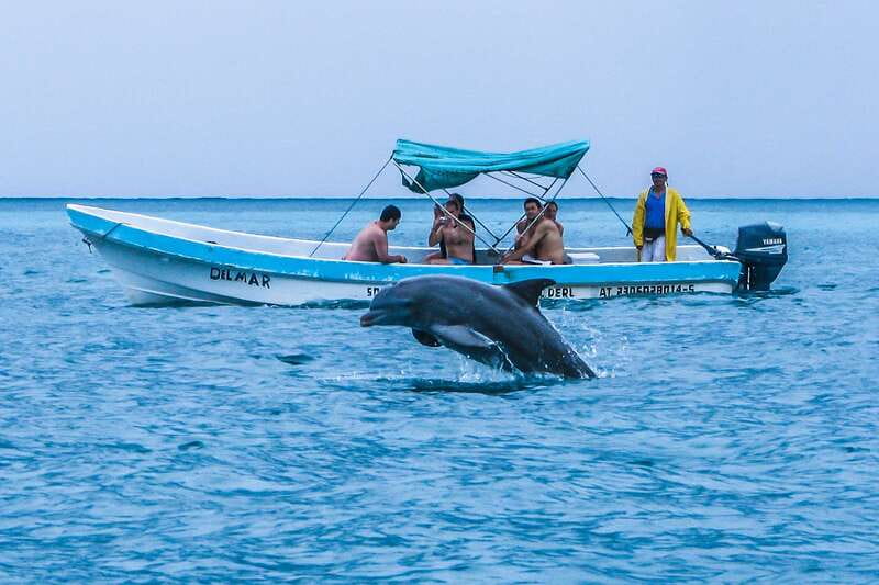 Exclusive Full Day Nature Expedition in Sian Ka'an - What You Pay: Price, Fees, and Where the Money Really Goes