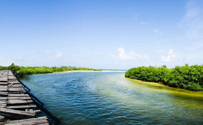 Exclusive Full Day Nature Expedition in Sian Ka'an - Who This Tour Suits Best (and Who Should Skip)