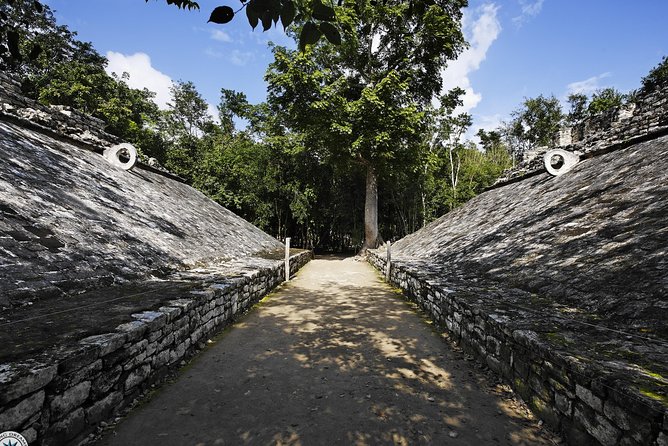 Exclusive Private Tour Tulum & Coba Just for You - What the private guide actually adds (beyond facts on a clipboard)