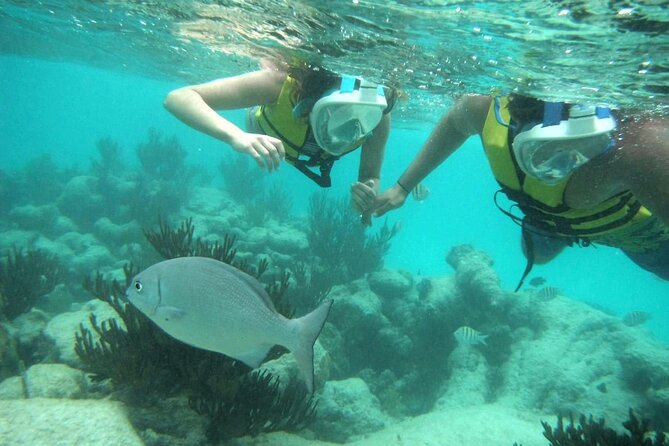 Exotik half a day tour: Cenote Cave and Swimming with Sea Turtles - Your Guides and Small-Group Feel: Names You May Hear