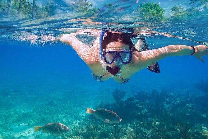 Exotik half a day tour: Cenote Cave and Swimming with Sea Turtles - What Comes Included vs What You’ll Pay Extra