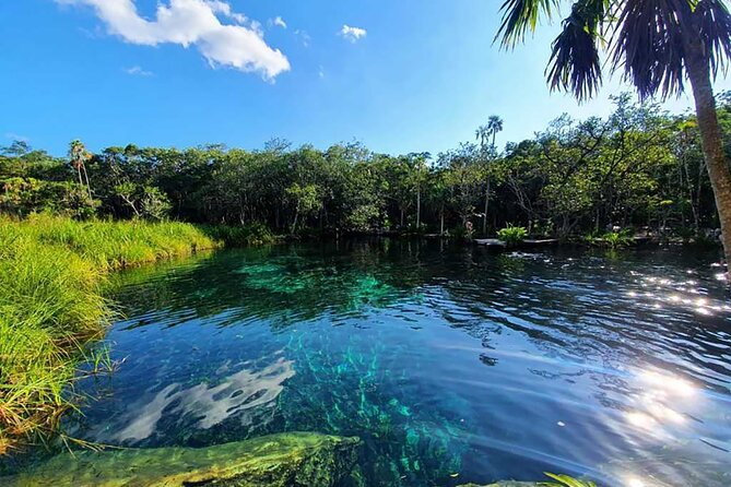 Explore Tulum Tour to Cenote and Ruins - Price and value: what $159 includes (and what it doesn’t)
