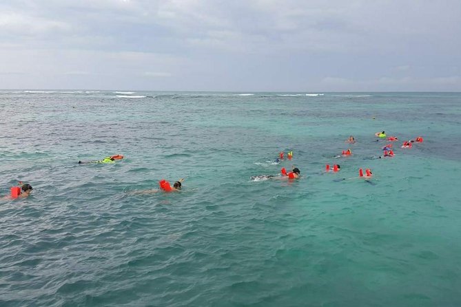Fantastic Day Isla Mujeres Unlimited Catamaran from Riviera Maya - Isla Mujeres Downtown in 45 Minutes: How to Shop Without Stress