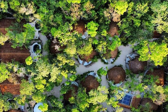Floating breakfast in The Yellow Nest (near Dos Ojos cenote) - Transportation and timing: the real shape of your 6 hours