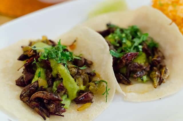 Food Hoppers 2.5-Hour Tour in Playa del Carmen - Stop Types You’ll Actually Taste: Tacos, Market Bites, and Sweet Ends