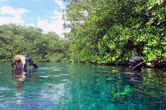 Freediving Intro for Beginners in a Cenote in Tulum Mexico - In-water training: drills, familiarization, and a slow progression to 7 meters