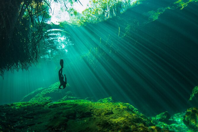 Freediving Intro for Beginners in a Cenote in Tulum Mexico - Price and value: what you’re really paying for at about $214.94
