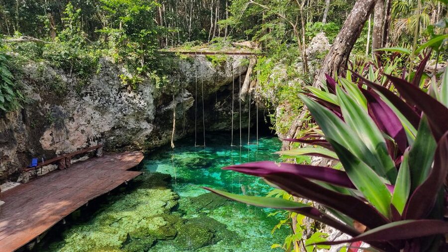 From Cancun: Day Trip to Tulum, Cenote & Playa del Carmen - Playa del Carmen on Quinta Avenida: lively, but plan for a shopping-heavy stop