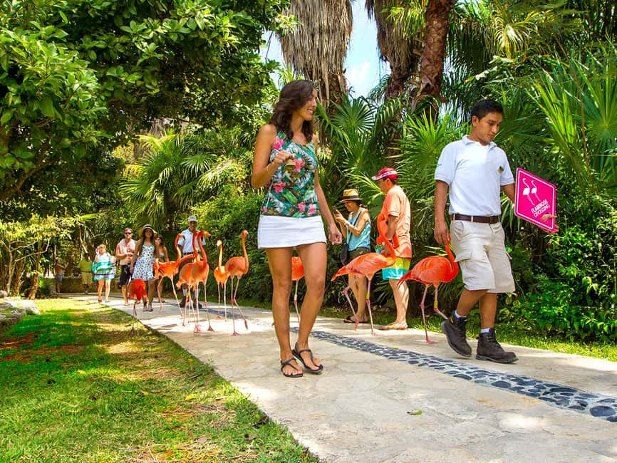 From Playa del Carmen: Xcaret Park All-Inclusive - Transportation from Playa del Carmen: worth it for a stress-free day