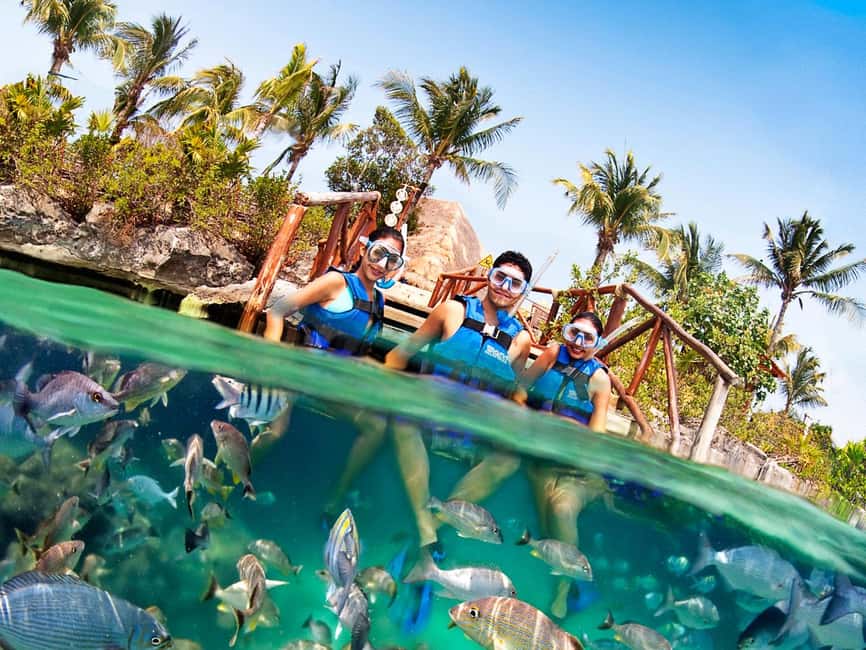 From Playa del Carmen: Xel-Há All-Inclusive Park - Manatees, Dolphins, and Photo Passes: The Extras You Should Know About
