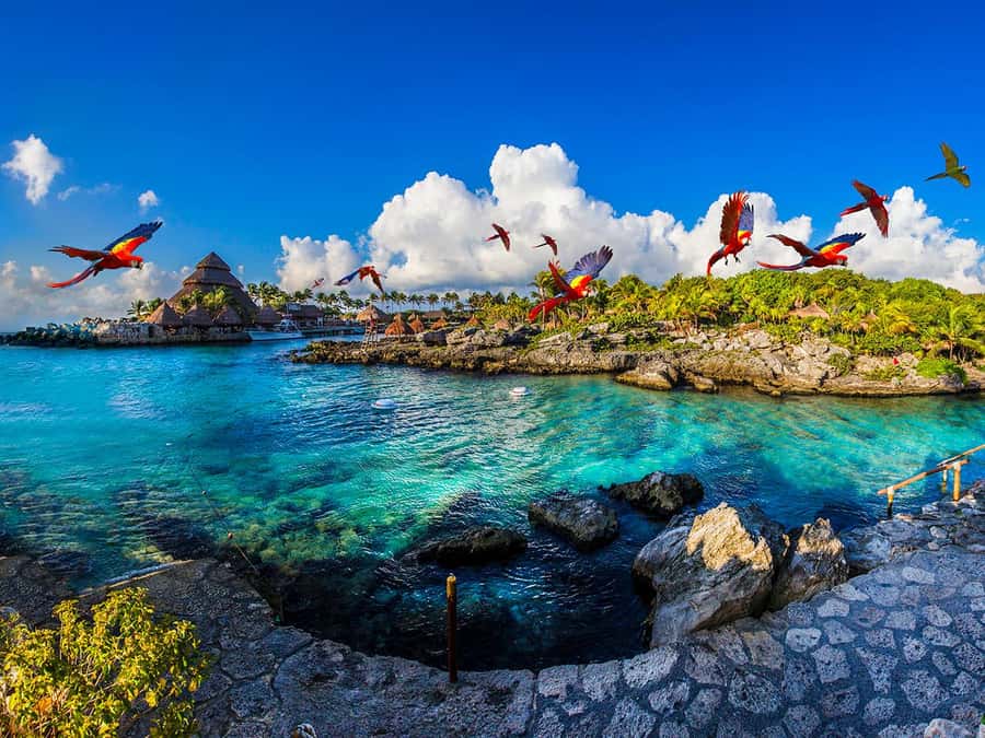 From Riviera Maya: Complete Combo to Xcaret Park! - Inside the Park: How a 50+ Attraction Day Actually Works