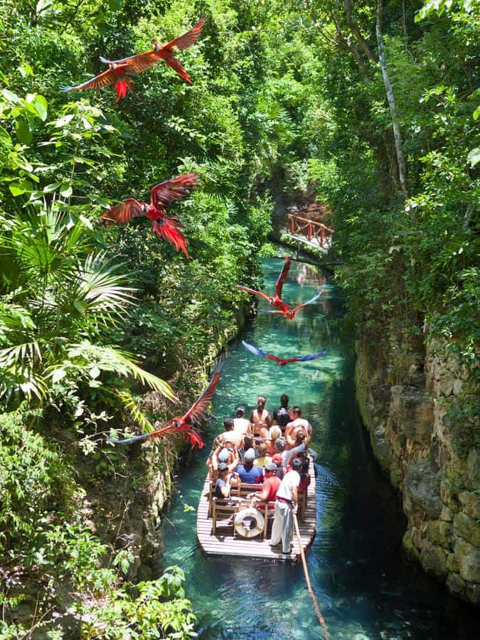 From Riviera Maya: Complete Combo to Xcaret Park! - Beaches, Birds, and Wildlife: Enjoy It Without Feeling Weird About Animal Interactions